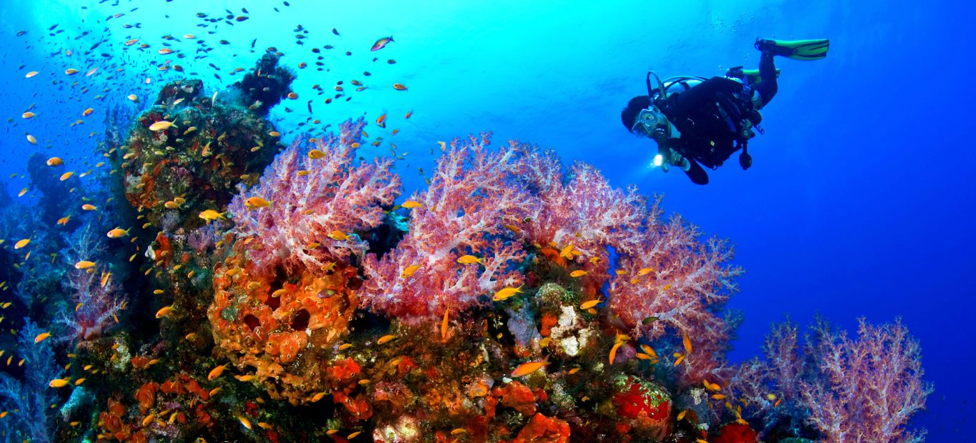 Sea