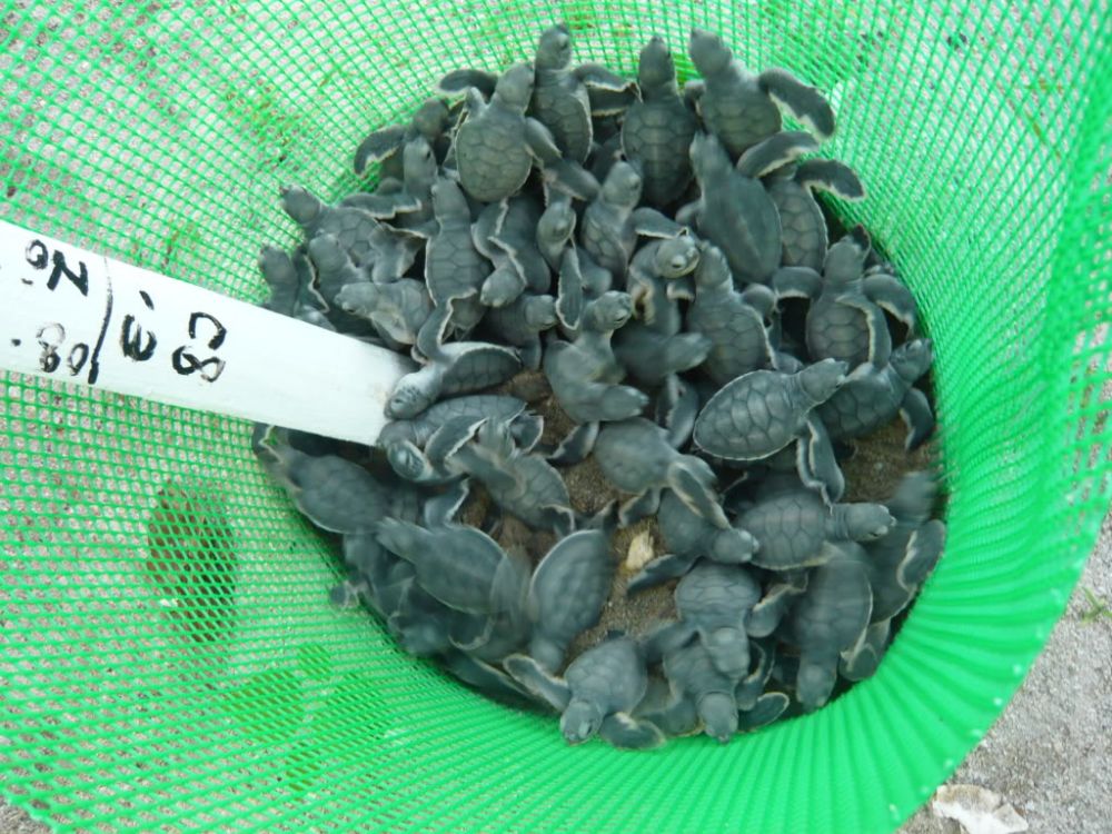 product-small-1