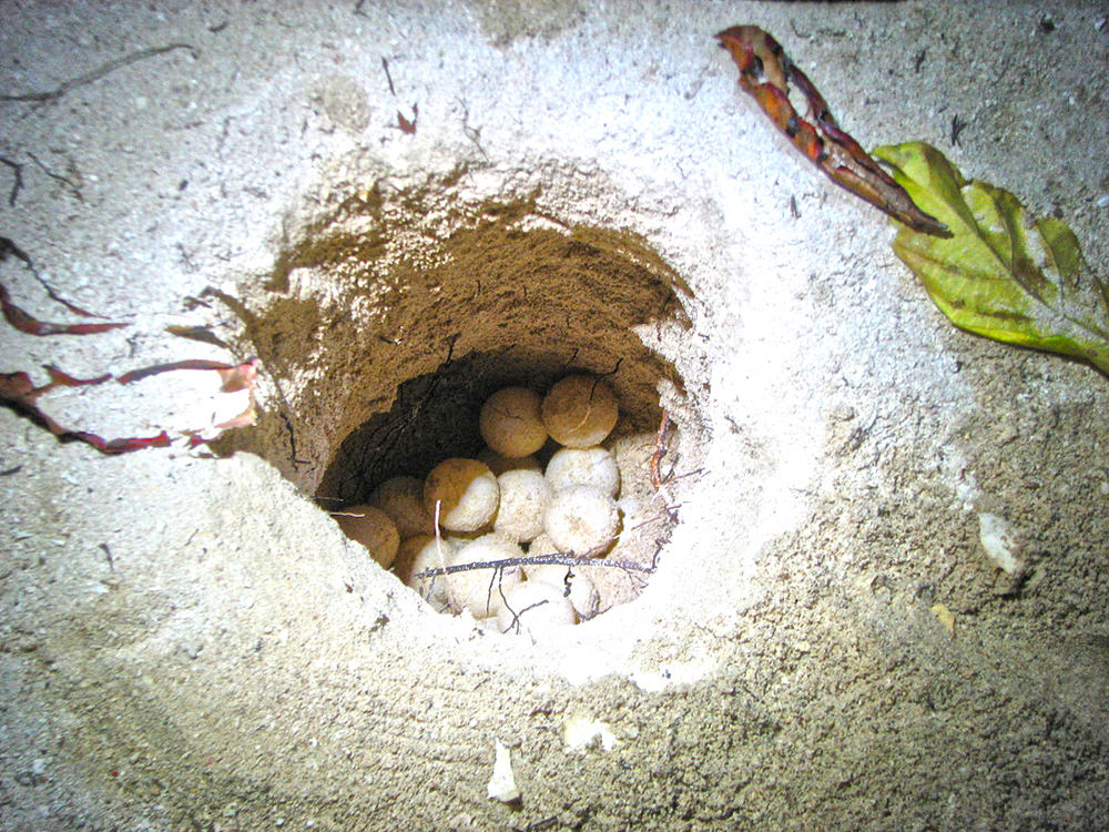 product-small-1