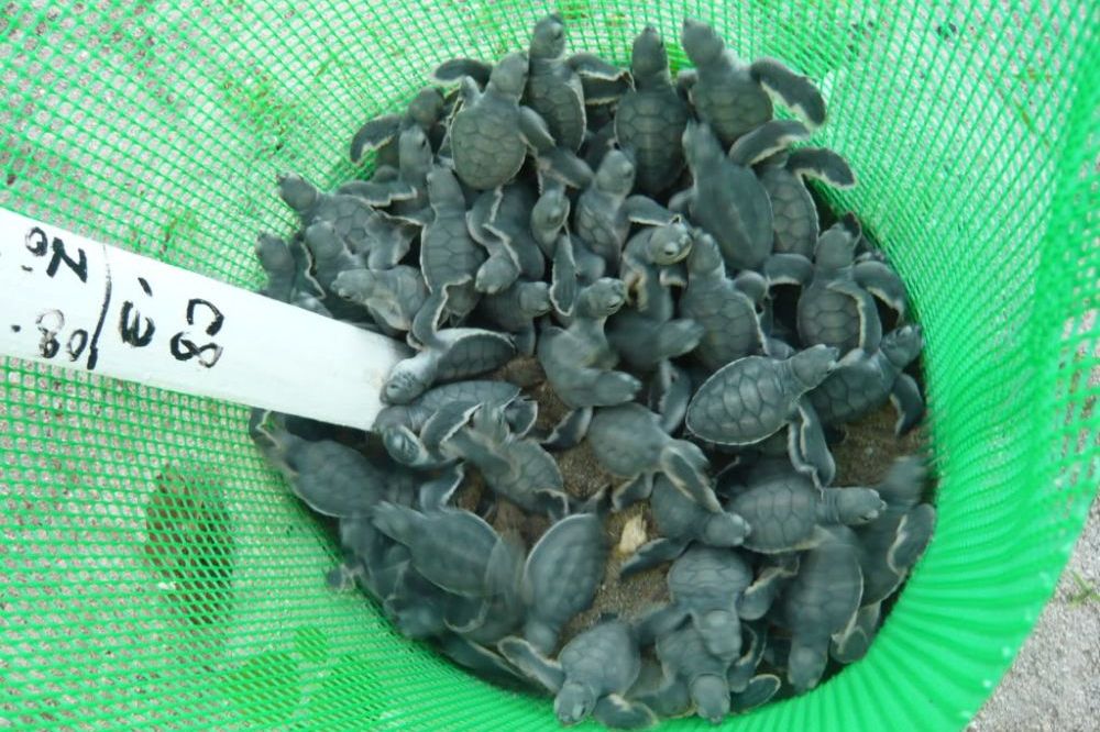 product-small-1